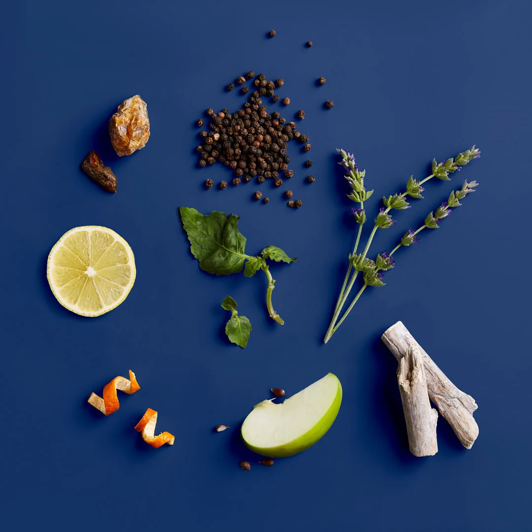 Blue Midnight™ Body & Hair Cleanser - Image 5